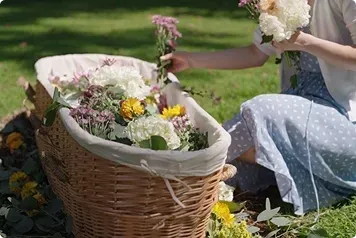 Carewell Cremations 